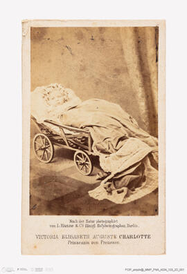 Álbum com retratos de membros das famílias reais europeias