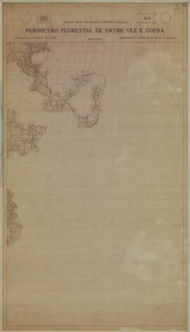 Perímetro Florestal – 16A [s.d.]