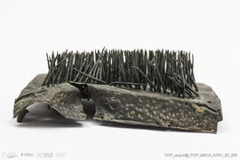 Cardadeira / Sedeiro