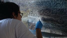 Pintura mural em suporte de argamassa – Alçado norte (janelão nordeste) – Fixação