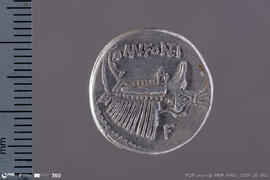 Denarius