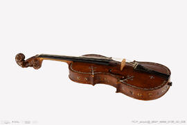 Violino