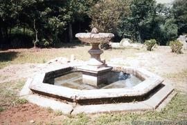 Fotografia 002