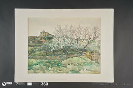 Freixo de Espada à Cinta