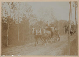 Álbum fotográfico - Passeios no Campo; saltos a cavalo; etc