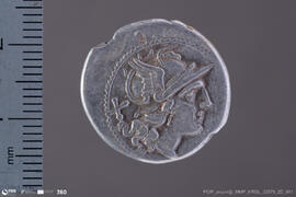 Denarius