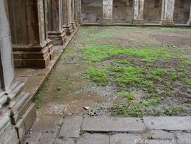 Claustro