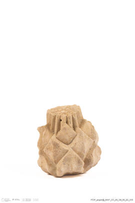 Fragmento alcachofra