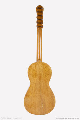 Viola da Terra