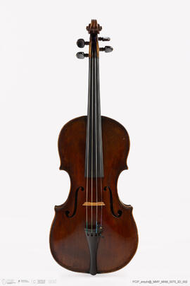 Violino