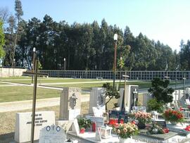 Fotografia 005