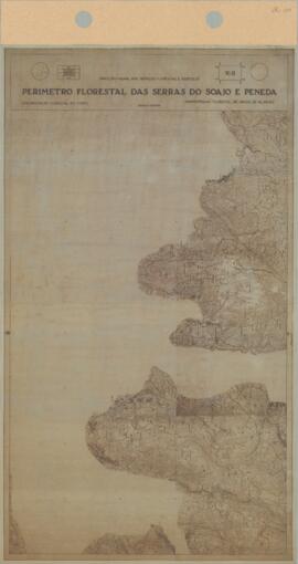 Perímetro Florestal - 16B [s.d.]