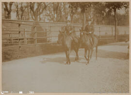 Álbum fotográfico - Passeios no Campo; saltos a cavalo; etc