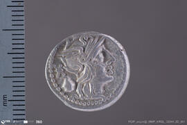 Denarius