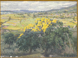 Sol da Tarde. Veiga da Urgeira