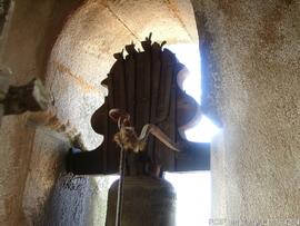 Fotografia