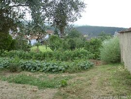 Área envolvente / acessos