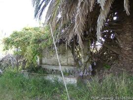 Fotografia 006