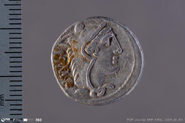 Denarius