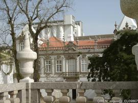 Fotografia 003