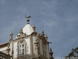 Fotografia 033