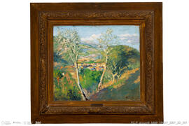 Paisagem - Arredores de Coimbra