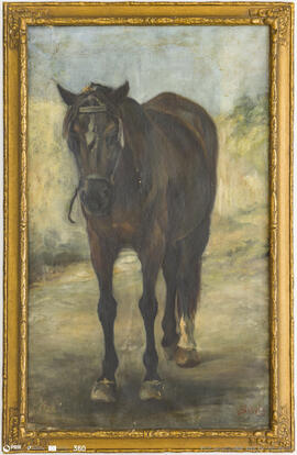 Cavalo depois do Trabalho