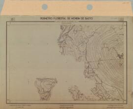 Perímetro Florestal - Planta Aerofogramétrica (1959-04)