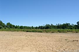 Fotografia do local e imediações