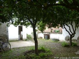 Fotografia 016