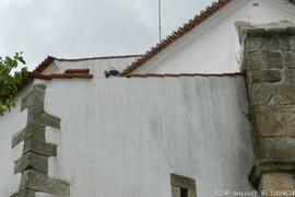 Fotografia (exterior)