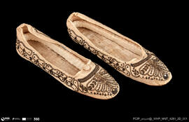 Sapatos (par)/Feminino