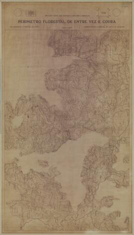 Perímetro Florestal – 15D [s.d.]