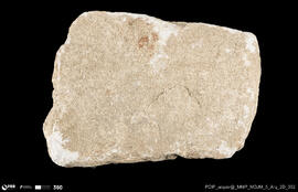 Pedra decorada (fragmento)