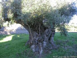 Fotografia interior, exterior e areas envolventes