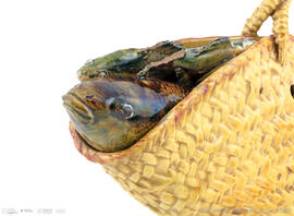 Peça cerâmica - Alcofa com peixes
