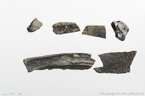 Open original Digital object