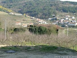 Fotografia 005