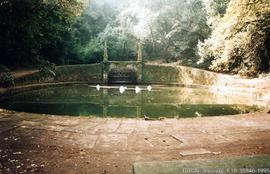 Fotografia 001