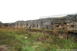 Registo Fotográfico