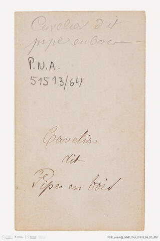 Open original Digital object