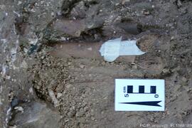 Sondagens  arqueológicas