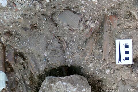 Open original Digital object