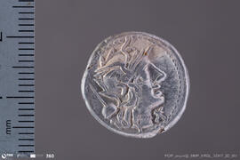 Denarius