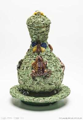 Jarro musgado Lagarto