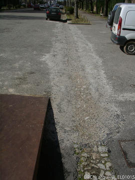 Fotografia 022