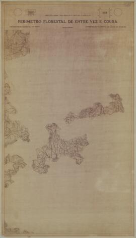 Perímetro Florestal – 15B [s.d.]