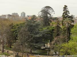 Fotografia 006