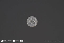 Denário Família Iulia