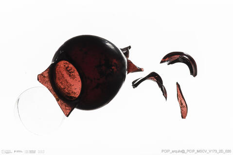 Open original Objeto digital